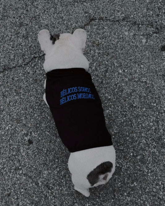 bélicos somos - dog vest