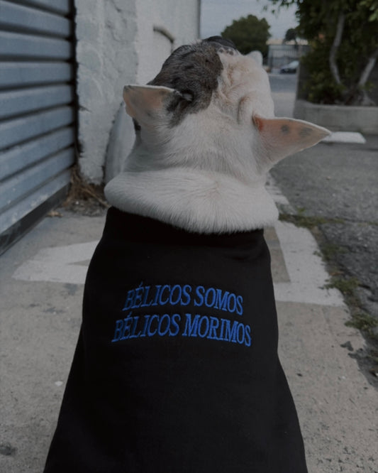 bélicos somos - dog vest